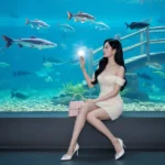 Ngắm nhìn vẻ đẹp nhẹ nhàng giữa thế giới thủy sinh trong bức ảnh tuyệt đẹp này