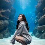 “Chụp hình phong cách dưới nước với không gian bình yên và cá bơi lội”